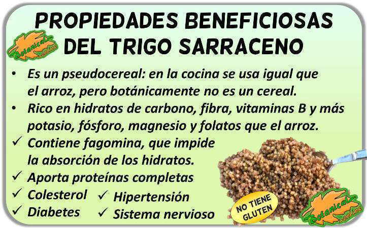 Salada Refrescante com Grãos de Trigo Sarraceno