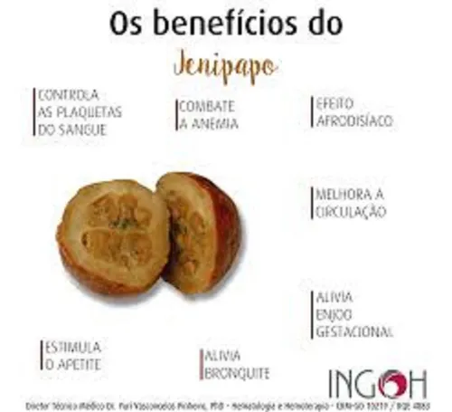 Jenipapo para Anemia: Como o Fruto Combate a Deficiência de Ferro