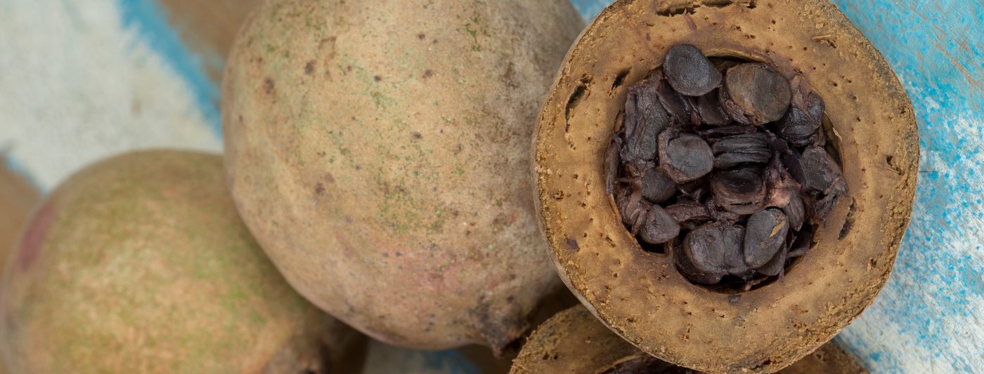 5 Benefícios Incríveis do Jenipapo para a Saúde Respiratória