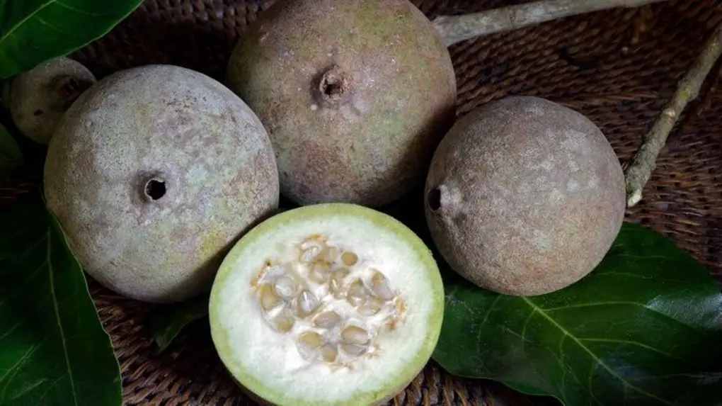 Xarope de Jenipapo é Seguro para Gestantes e Lactantes? Entenda os Cuidados