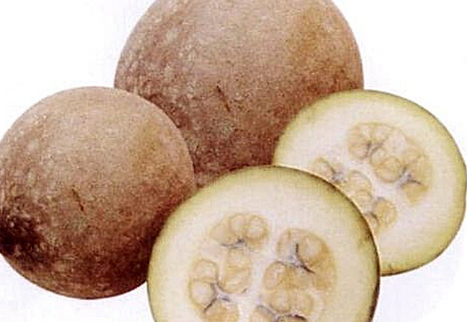 Receita Caseira de Xarope de Jenipapo: Passo a Passo Completo