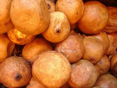 Jenipapo para Anemia: Como o Fruto Combate a Deficiência de Ferro