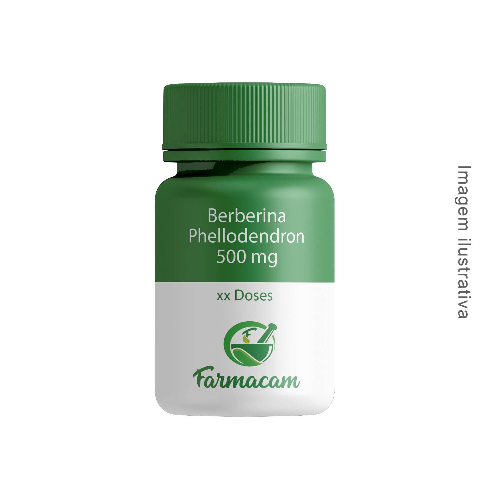 5 Melhores Suplementos Naturais para Diabetes Tipo 2