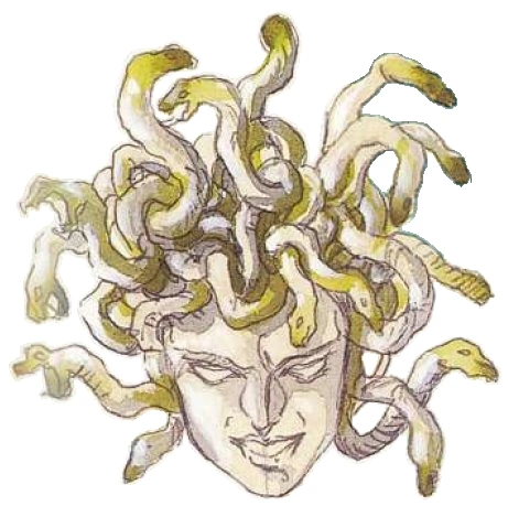 tatuagem cabeça de medusa