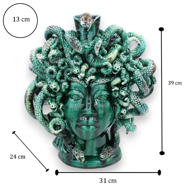 cabeça de medusa medicina