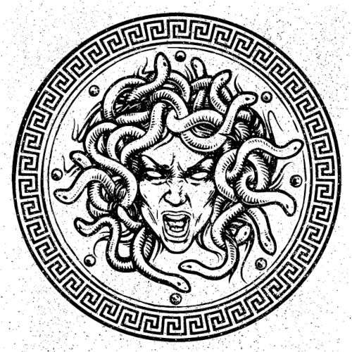 cabeça de medusa planta