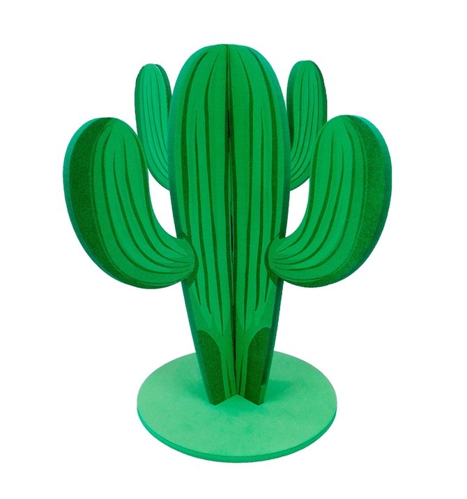melhores cactos grandes para decorar sua casa