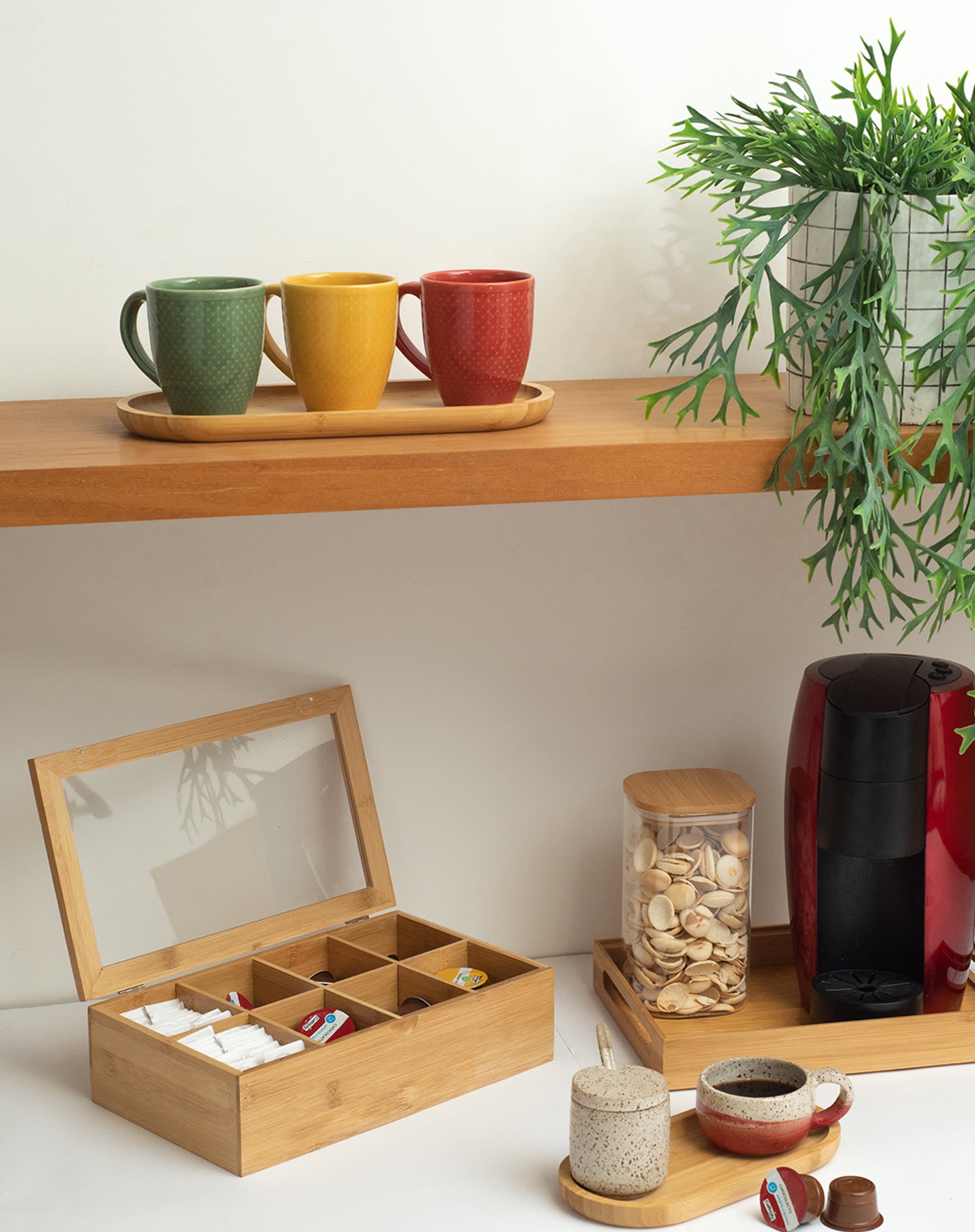 Café Arábica vs. Robusta: Entenda as Principais Diferenças