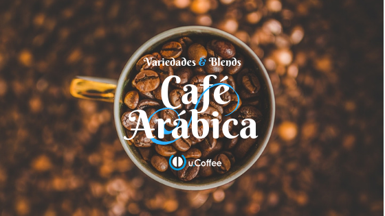 Descubra as Marcas de Café Arábica Mais Premiadas no Brasil