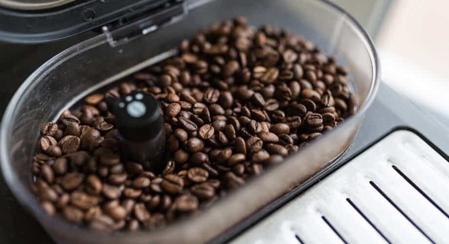 Café Arábica vs. Robusta: Entenda as Principais Diferenças