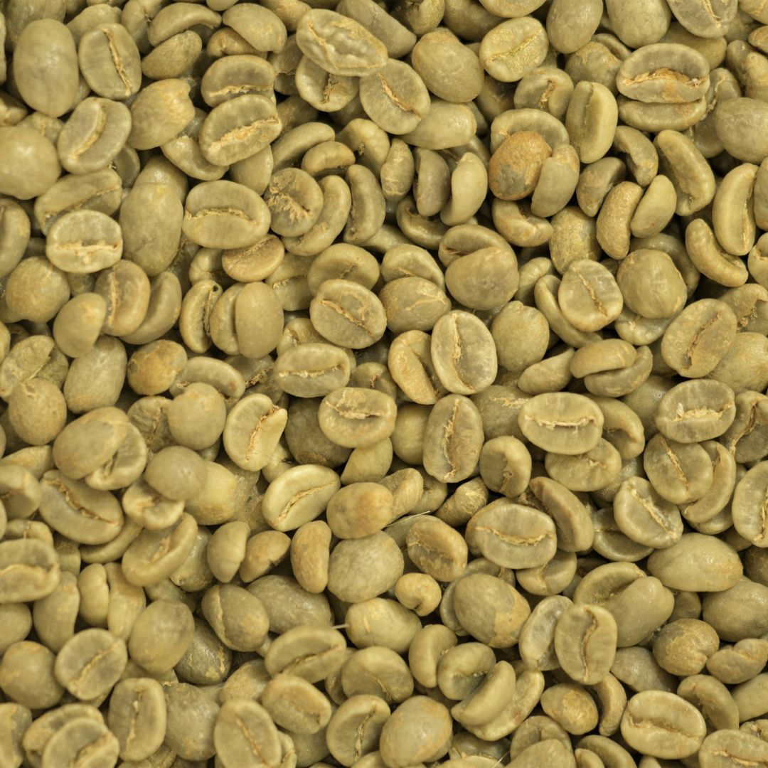 A História Fascinante do Café Bourbon Amarelo: Do Brasil para o Mundo