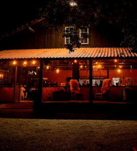 Experiências rurais em Taquaras: Morangos e animais