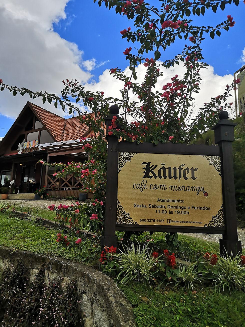 Roteiro gastronômico na Serra Catarinense: Além dos cafés coloniais