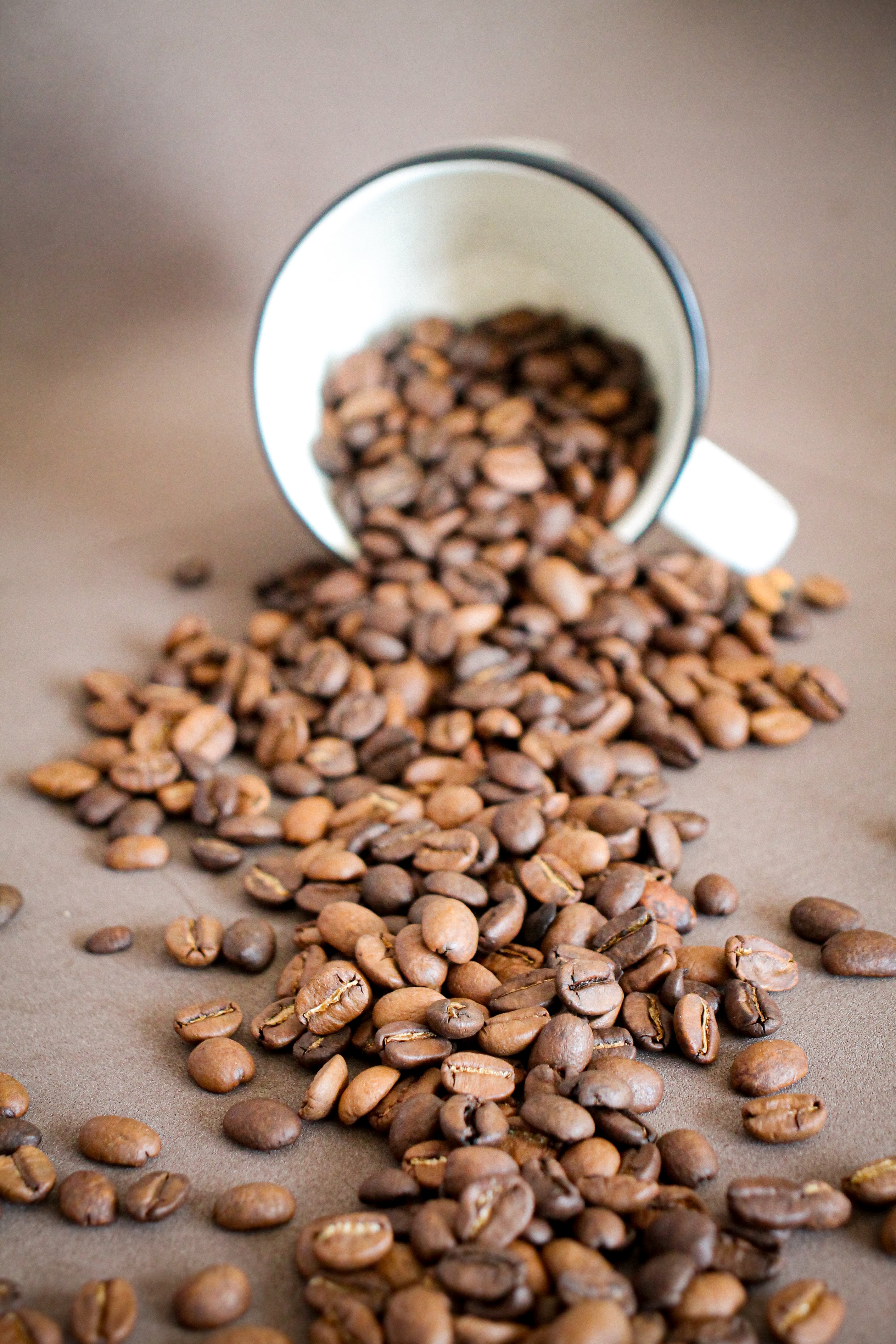 Café em grãos torra escura