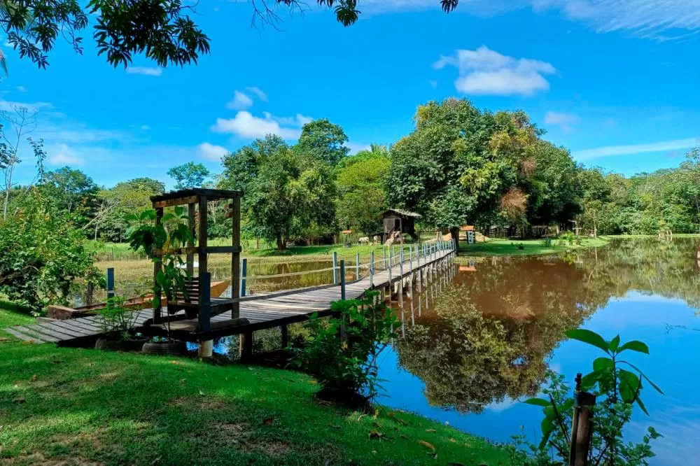 Descubra os encantos do Jardim América: Cafés e lazer