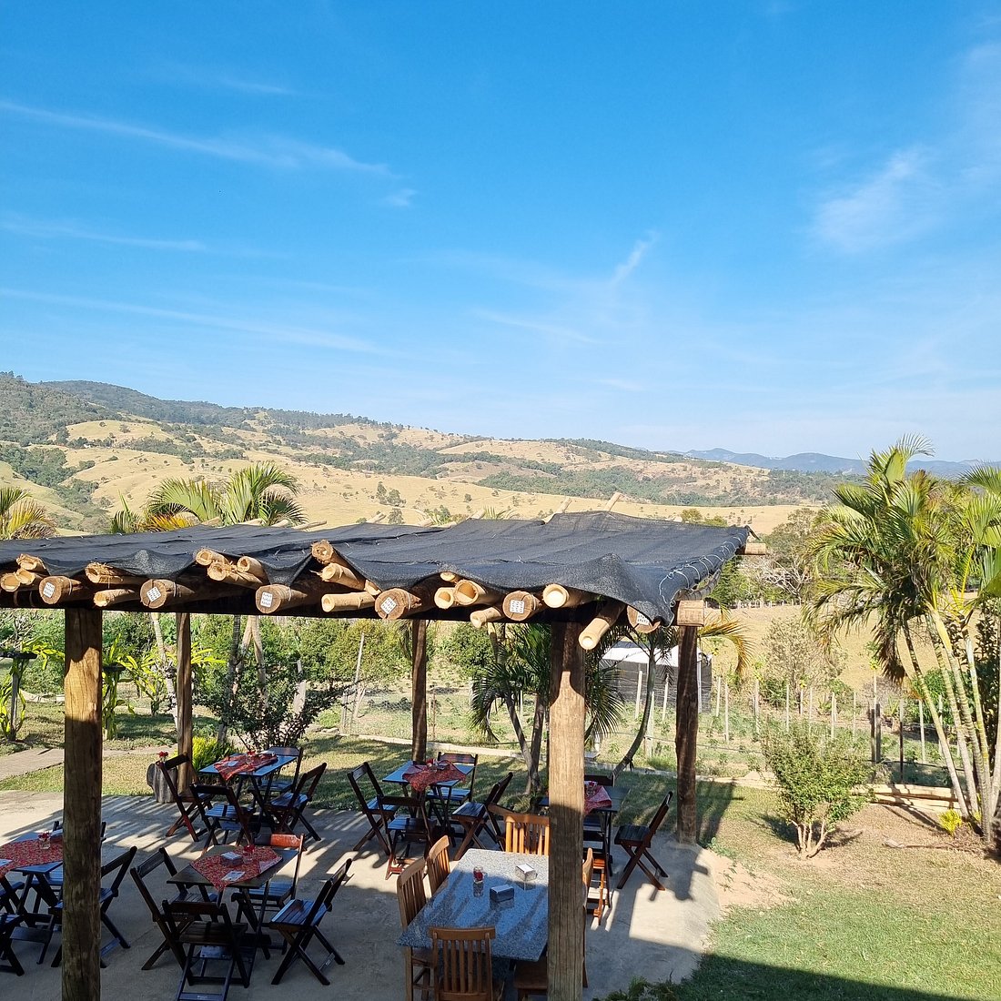 Cardápio de quitandas goianas: Onde encontrar as melhores