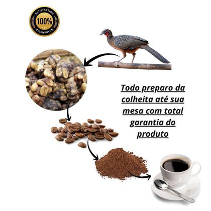 Café Jacu vs. Kopi Luwak: Uma comparação de cafés exóticos