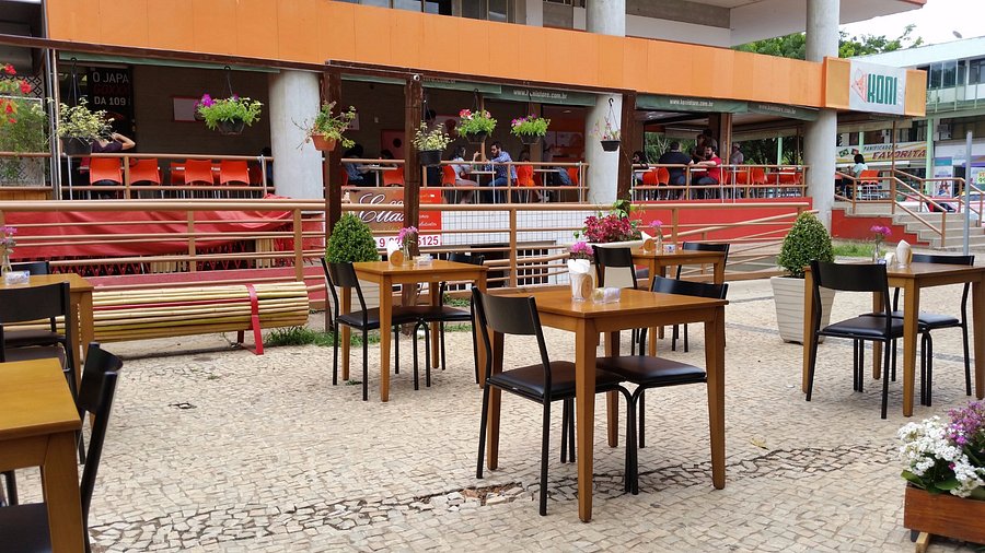 Experiências Únicas: Cafeterias em Meio à Natureza e com Coworking