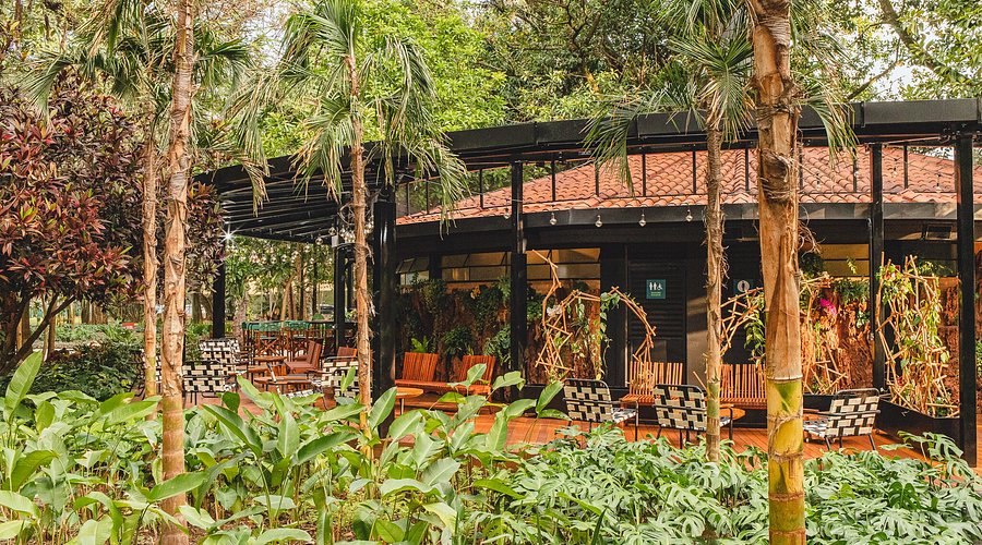 Guia completo: Cafés com brunch no Ibirapuera