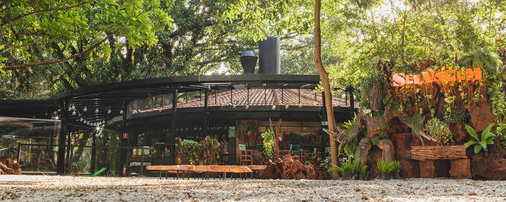 Cafeterias com vista para o Parque Ibirapuera
