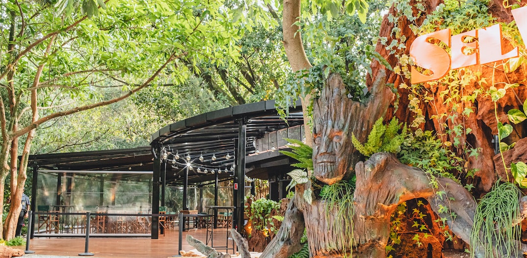 Como chegar aos melhores cafés do Ibirapuera