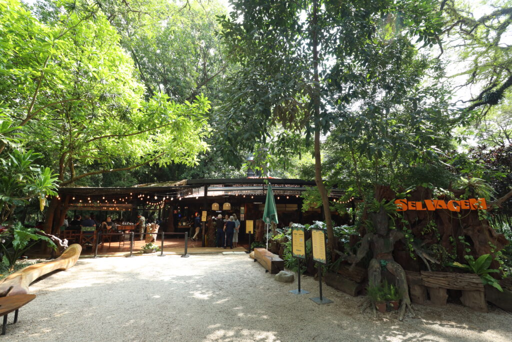 Cafeterias com vista para o Parque Ibirapuera