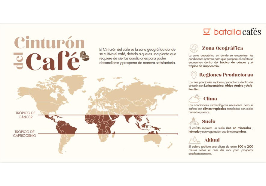 Explorando a Cultura do Café: De São Paulo a Fortaleza