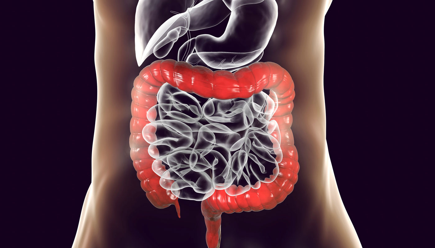 O Papel do Ácido Clorogênico na Digestão: Um Guia Completo