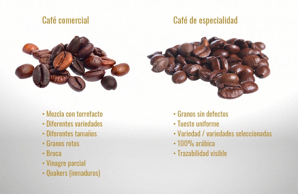 Guia Completo de Notas Sensoriais em Cafés Especiais