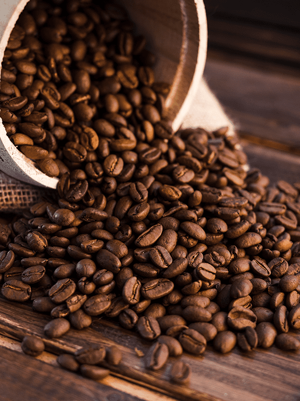 Degustação Guiada: Identificando Notas Sensoriais em Cafés Gourmet