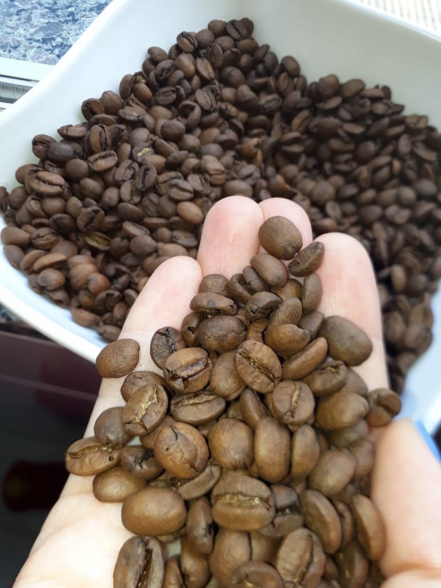 Café Orgânico vs. Convencional: Qual a Melhor Escolha para Você?