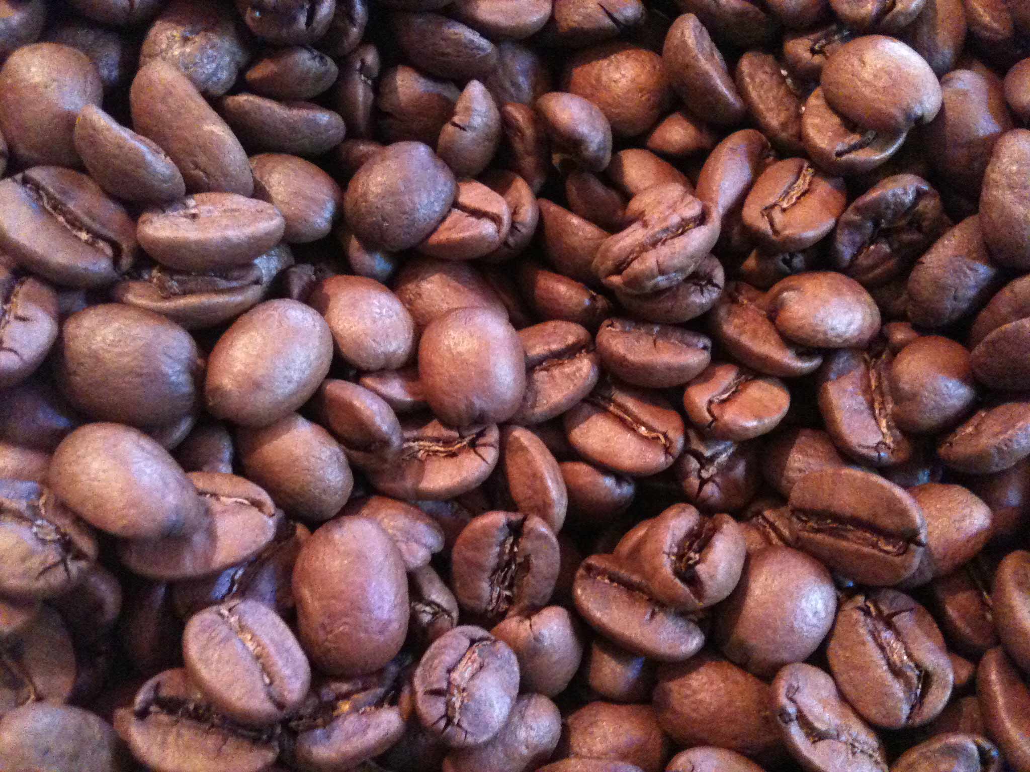 A História do Café: Da Plantação à Sua Xícara