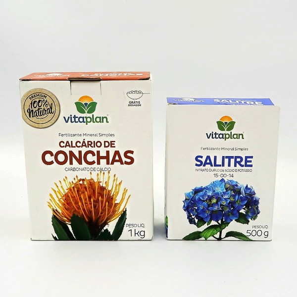 Como o calcário de conchas melhora a saúde óssea em animais