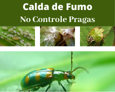 erros ao fazer calda de fumo
