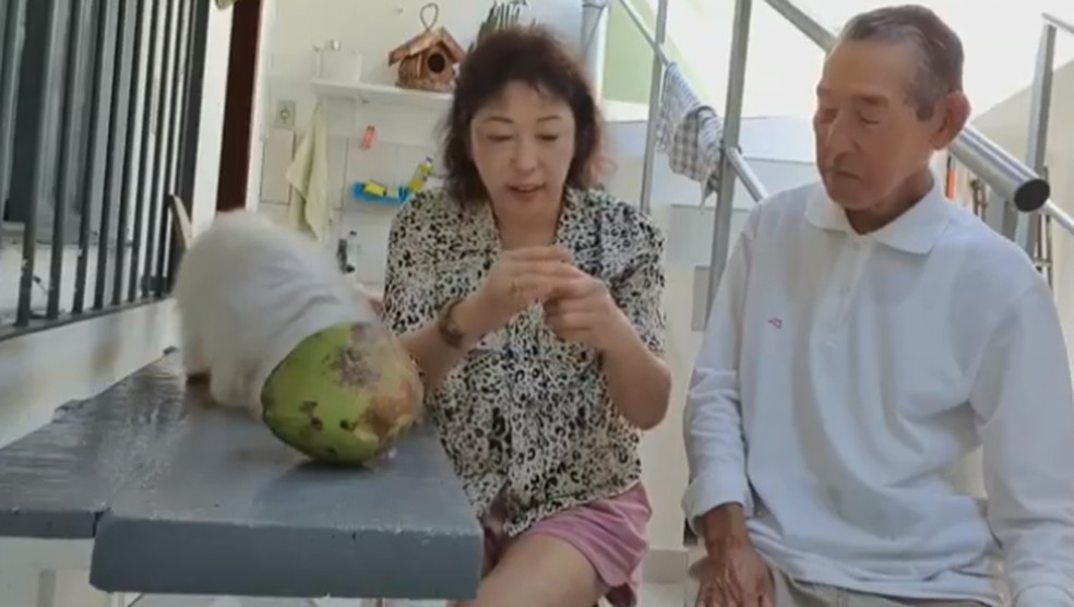 Transição para uma horta sem agrotóxicos