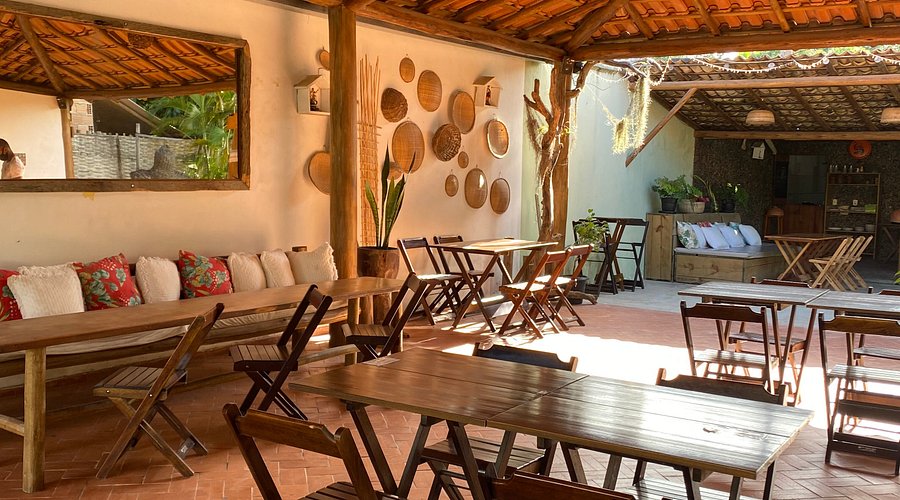 A Importância da Canela-Preta no Ecossistema da Mata Atlântica