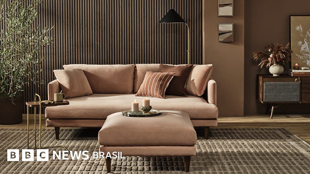 Canela-Preta: Uma Espécie Medicinal com Potencial Cosmético