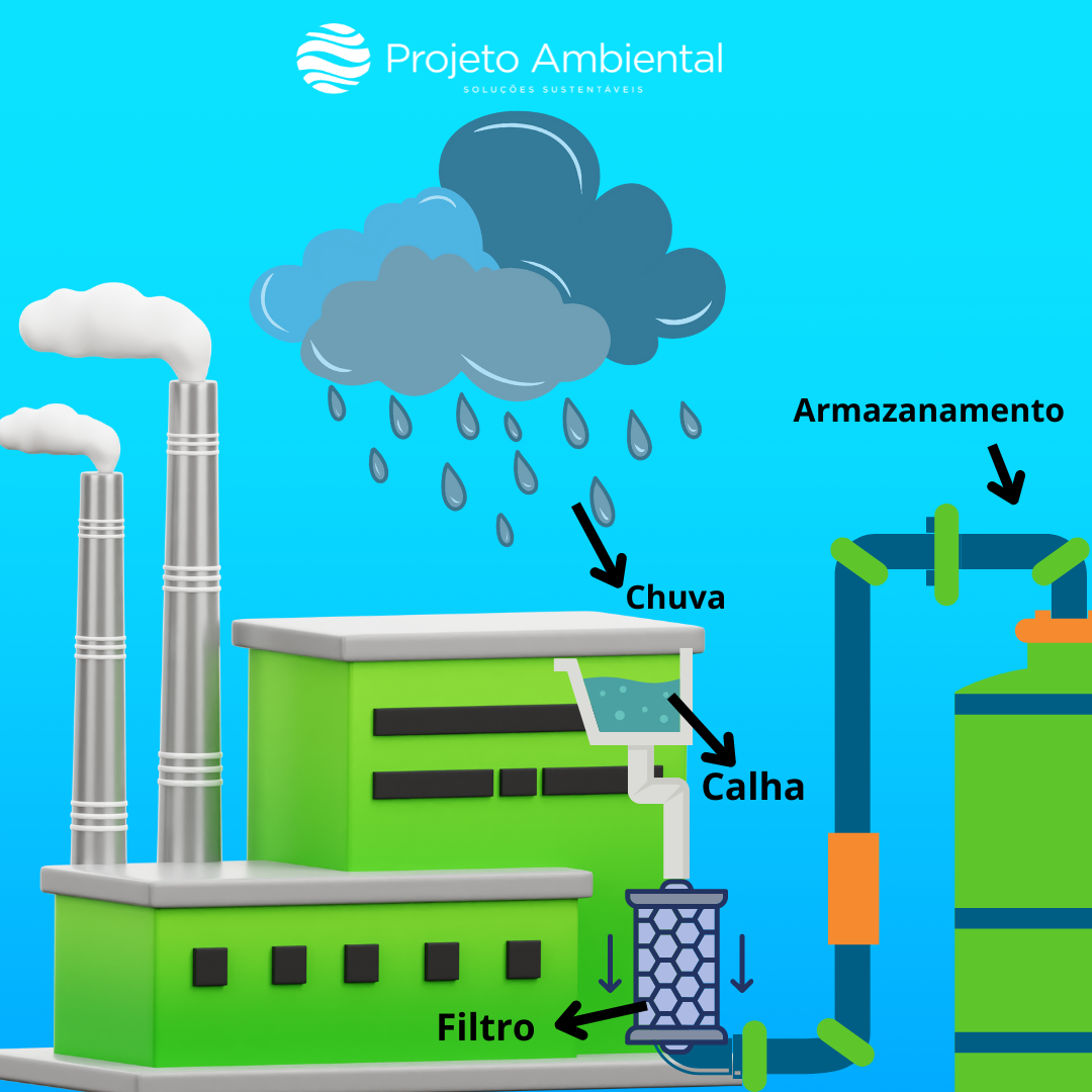 Usos criativos da água da chuva na jardinagem e horta