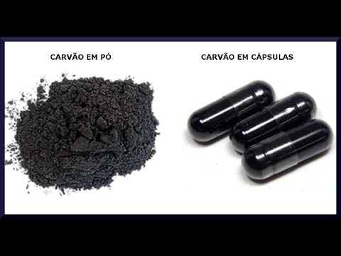 Carvão ativado para pets: quando e como usar