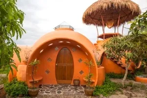 inspiração casa de joão de barro em árvore