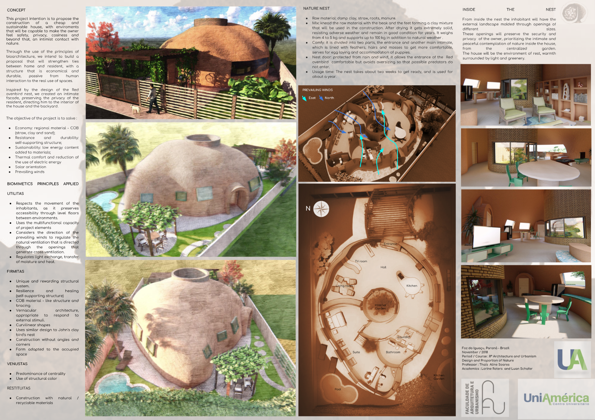 Casa de joão-de-barro em árvore