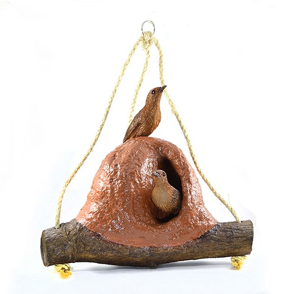 erros comuns ao observar ninho de joão de barro