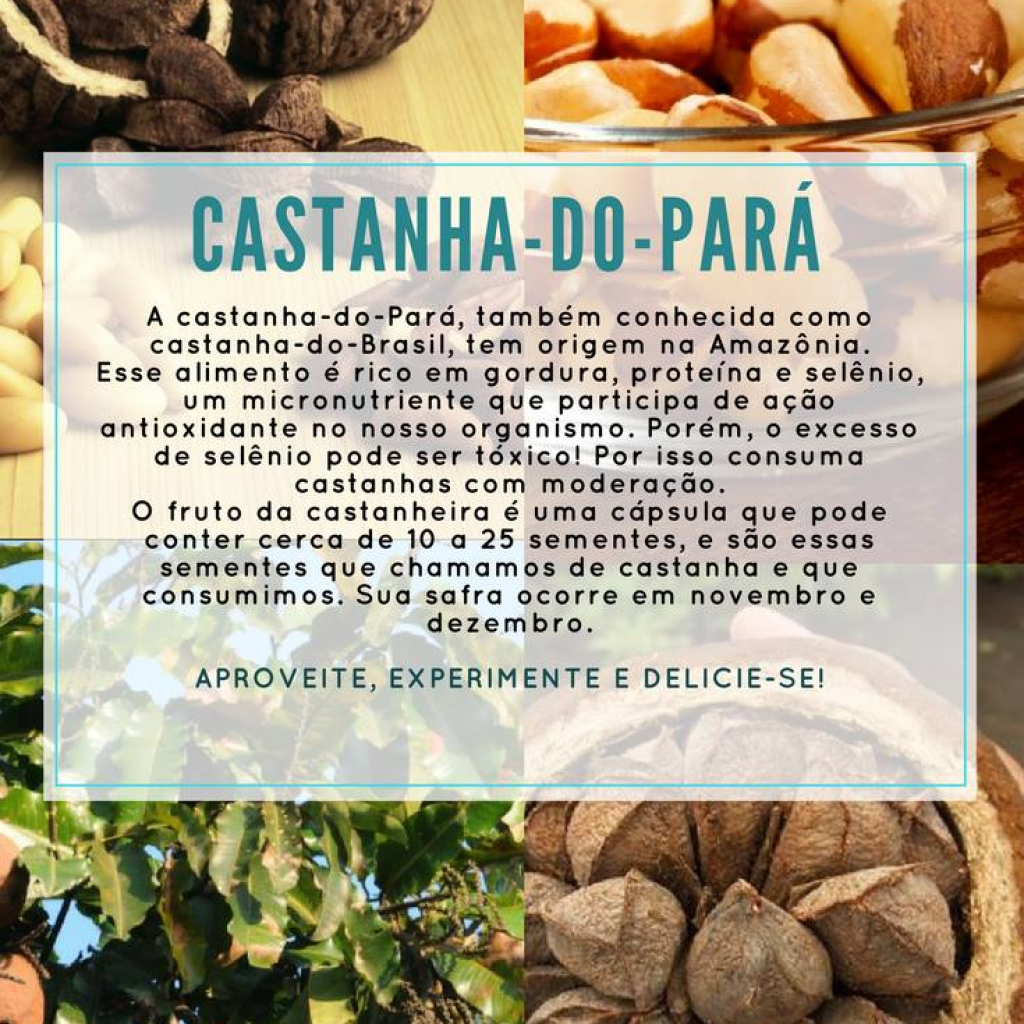 5 receitas saudáveis com castanha-do-pará