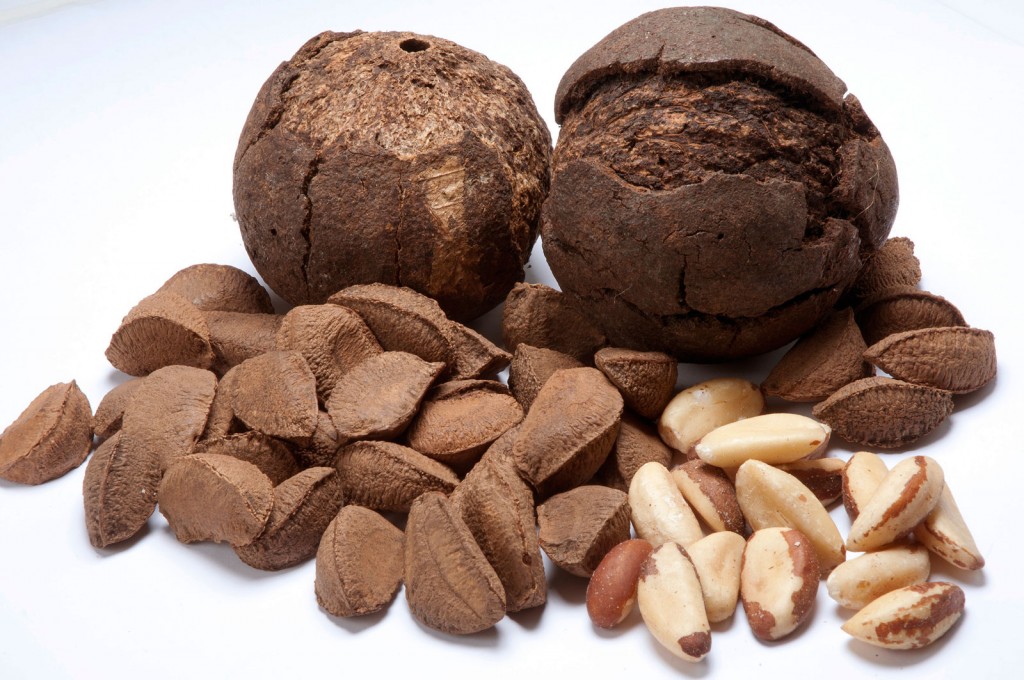 Os perigos do excesso de selênio: o que você precisa saber