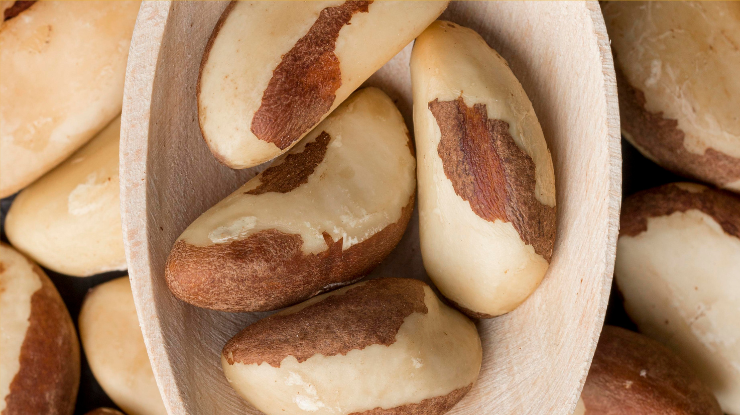 Castanha-do-pará vs. outras oleaginosas: qual a melhor para sua saúde?