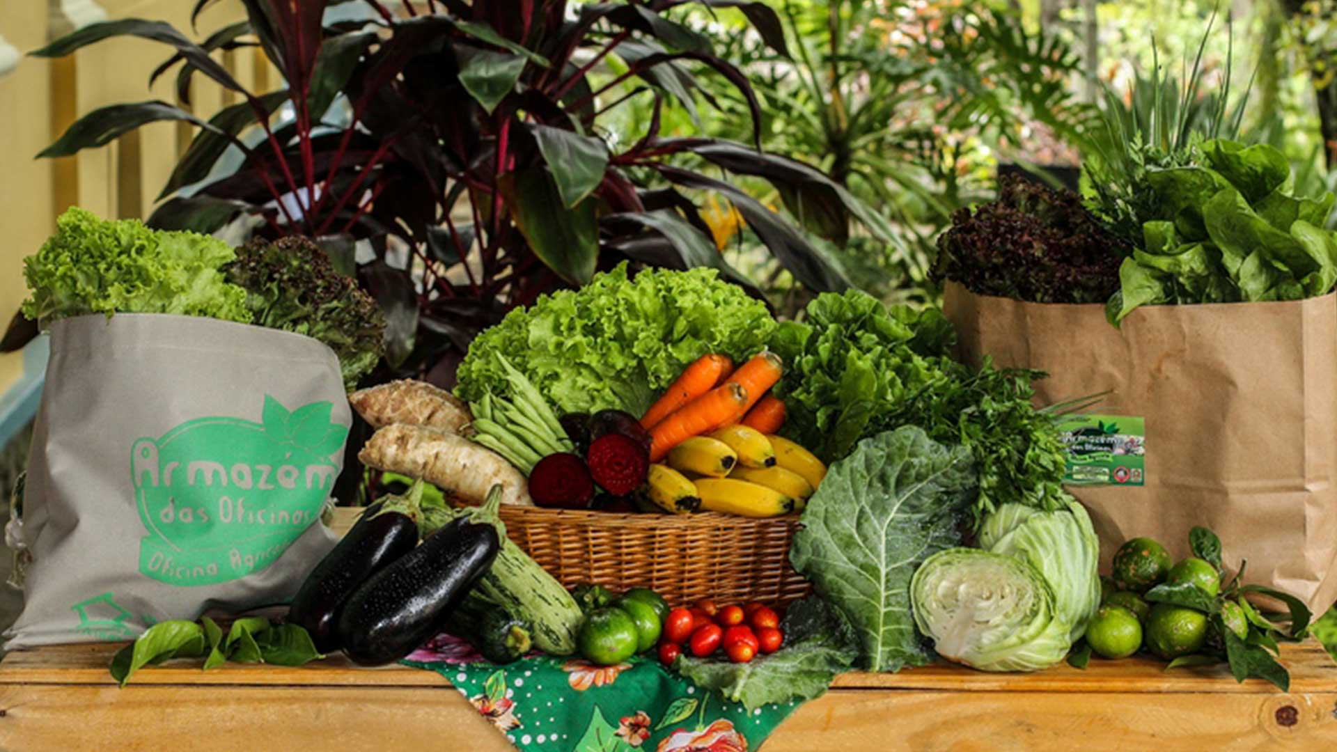 O Que Incluir na Sua Cesta Orgânica: Um Mix Equilibrado para a Semana