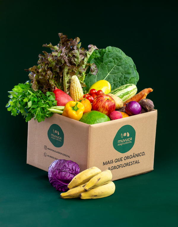 cestas de orgânicos como montar