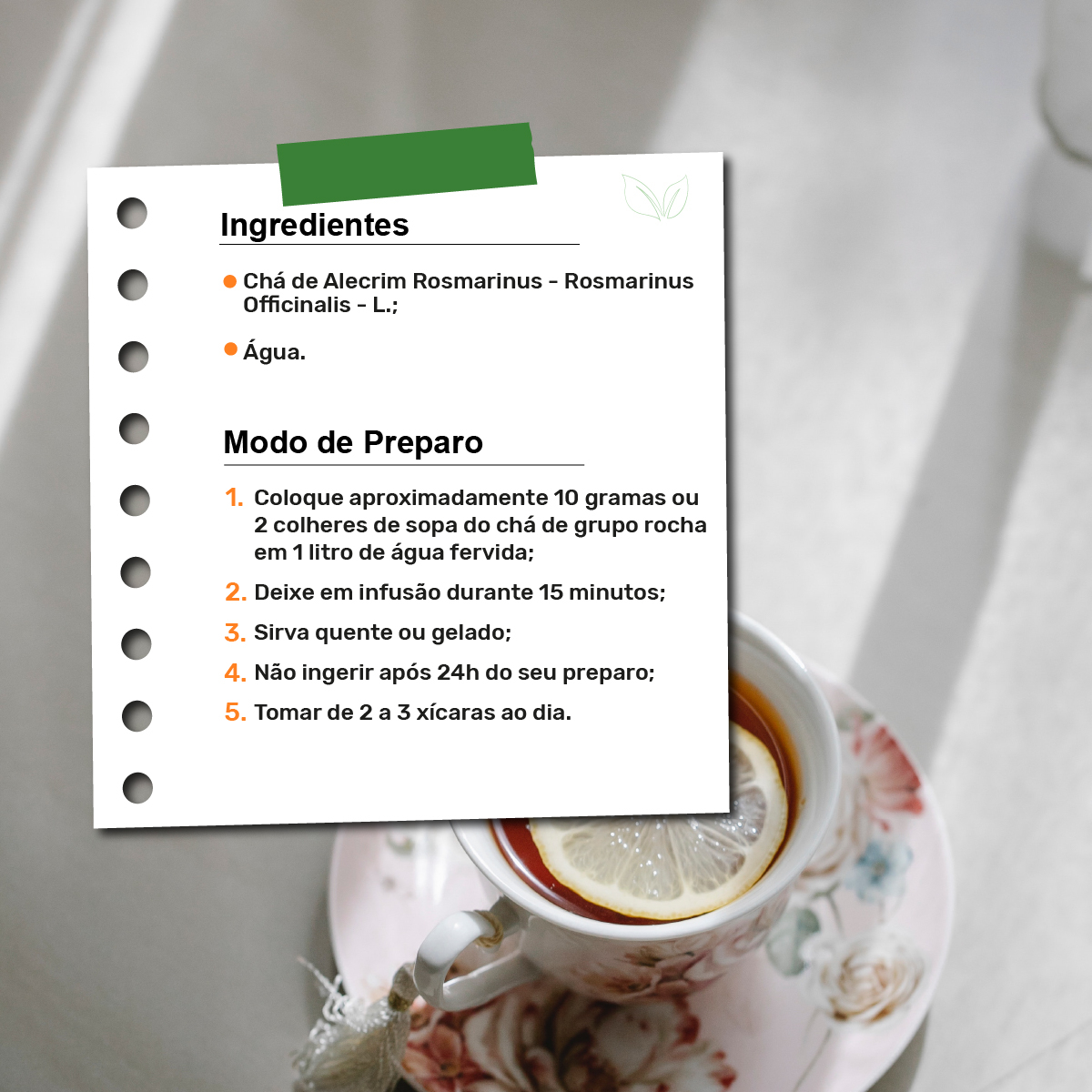 Receitas criativas com chá de alecrim