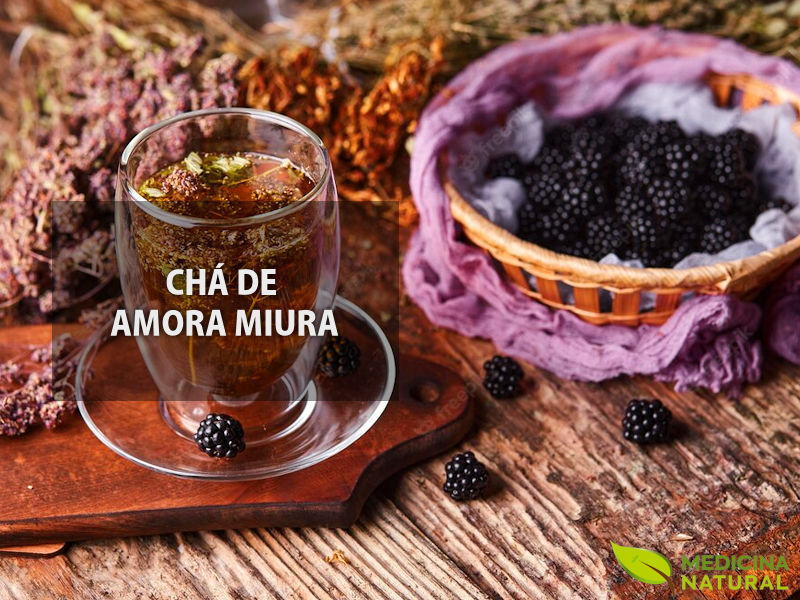 10 Benefícios Surpreendentes do Chá de Amora para a Saúde