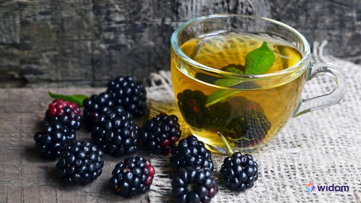 Receita Simples e Eficaz de Chá de Amora para Saúde Digestiva